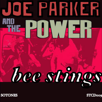 Lonely Joe Parker – Bee Stings Artwork