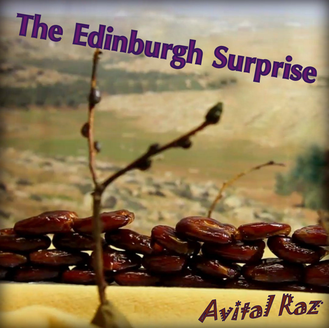 Avital Raz – The Edinburgh Surprise Artwork